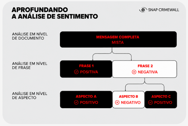 image - SNAP Infographic in Portuguese: sentiment analysis levels from document to phrase and aspect, with color-coded blocks showing positive/negative results and a mixed final message.